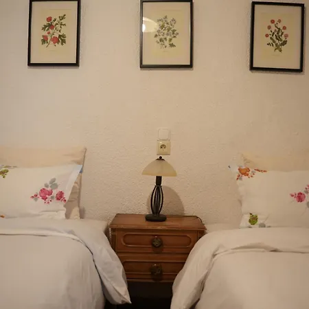 - Downtown Exclusive Arachova