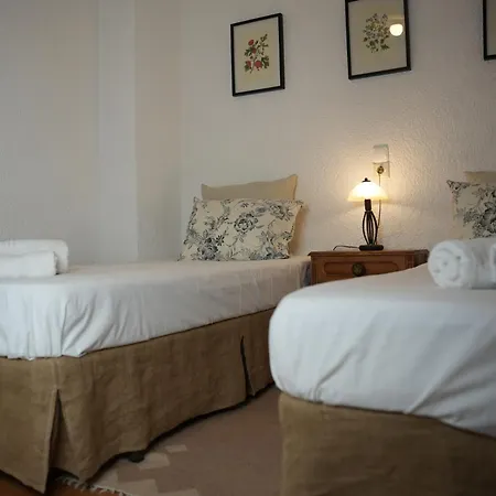 - Downtown Exclusive